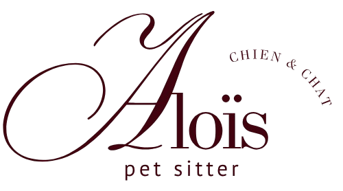 pet sitter roanne - garde animaux roanne - garde chien roanne - garde chat roanne - cat sitting roanne - cat sitter roanne - dog sitting roanne - dog sitter roanne