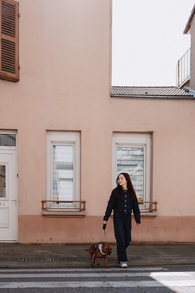 pet sitter roanne - garde animaux roanne - garde chien roanne - garde chat roanne - cat sitting roanne - cat sitter roanne - dog sitting roanne - dog sitter roanne - pet sitter riorges