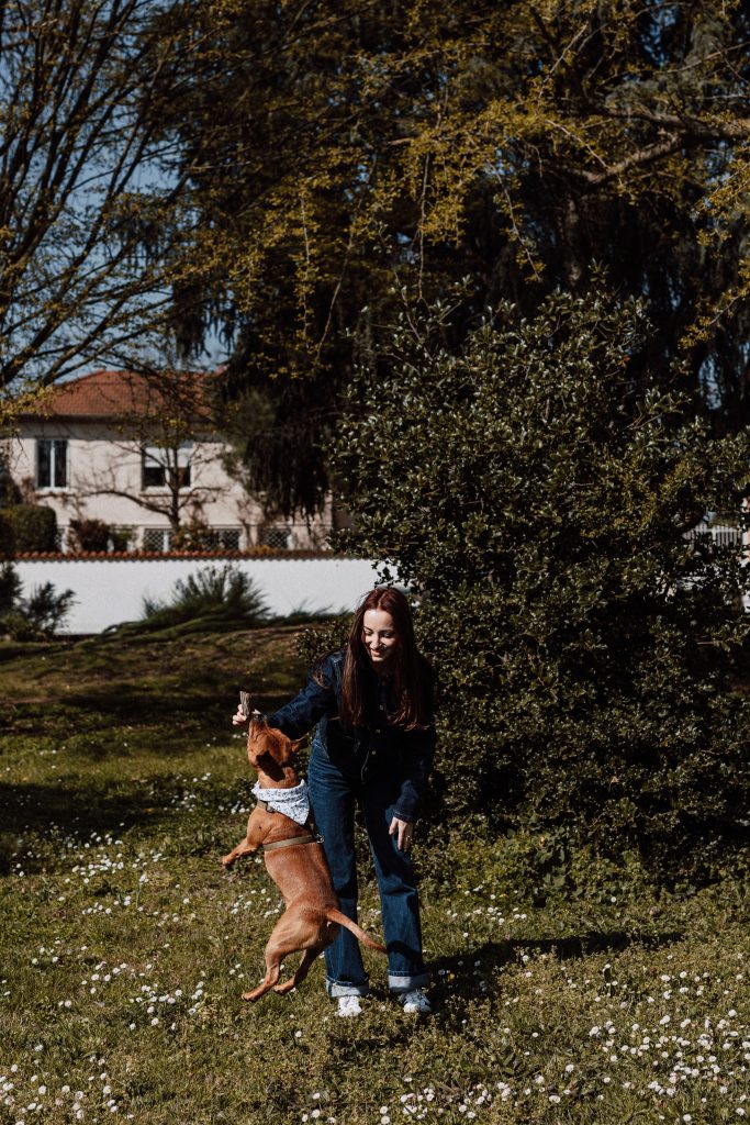 pet sitter roanne - garde animaux roanne - garde chien roanne - garde chat roanne - cat sitting roanne - cat sitter roanne - dog sitting roanne - dog sitter roanne -promenade chien roanne