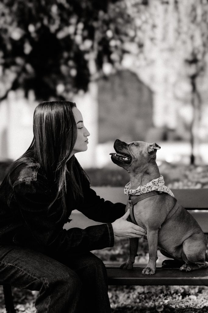 pet sitter roanne - garde animaux roanne - garde chien roanne - garde chat roanne - cat sitting roanne - cat sitter roanne - dog sitting roanne - dog sitter roanne