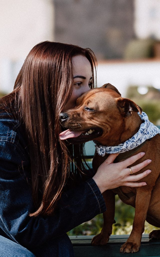 pet sitter roanne - garde animaux roanne - garde chien roanne - garde chat roanne - cat sitting roanne - cat sitter roanne - dog sitting roanne - dog sitter roanne
