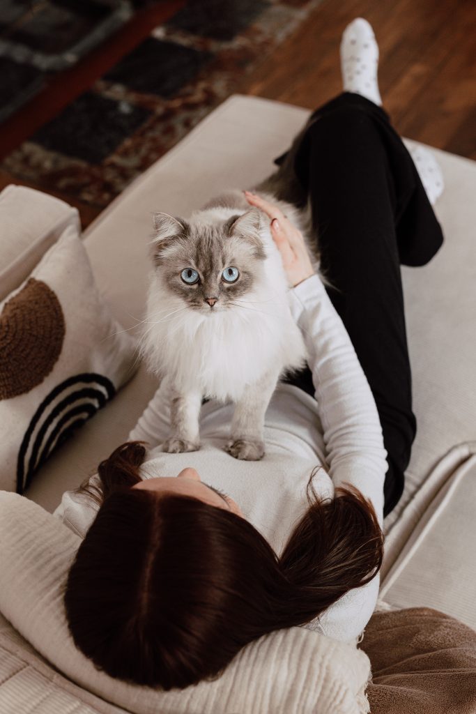 pet sitter roanne - garde animaux roanne - garde chien roanne - garde chat roanne - cat sitting roanne - cat sitter roanne - dog sitting roanne - dog sitter roanne - pet sitter riorges