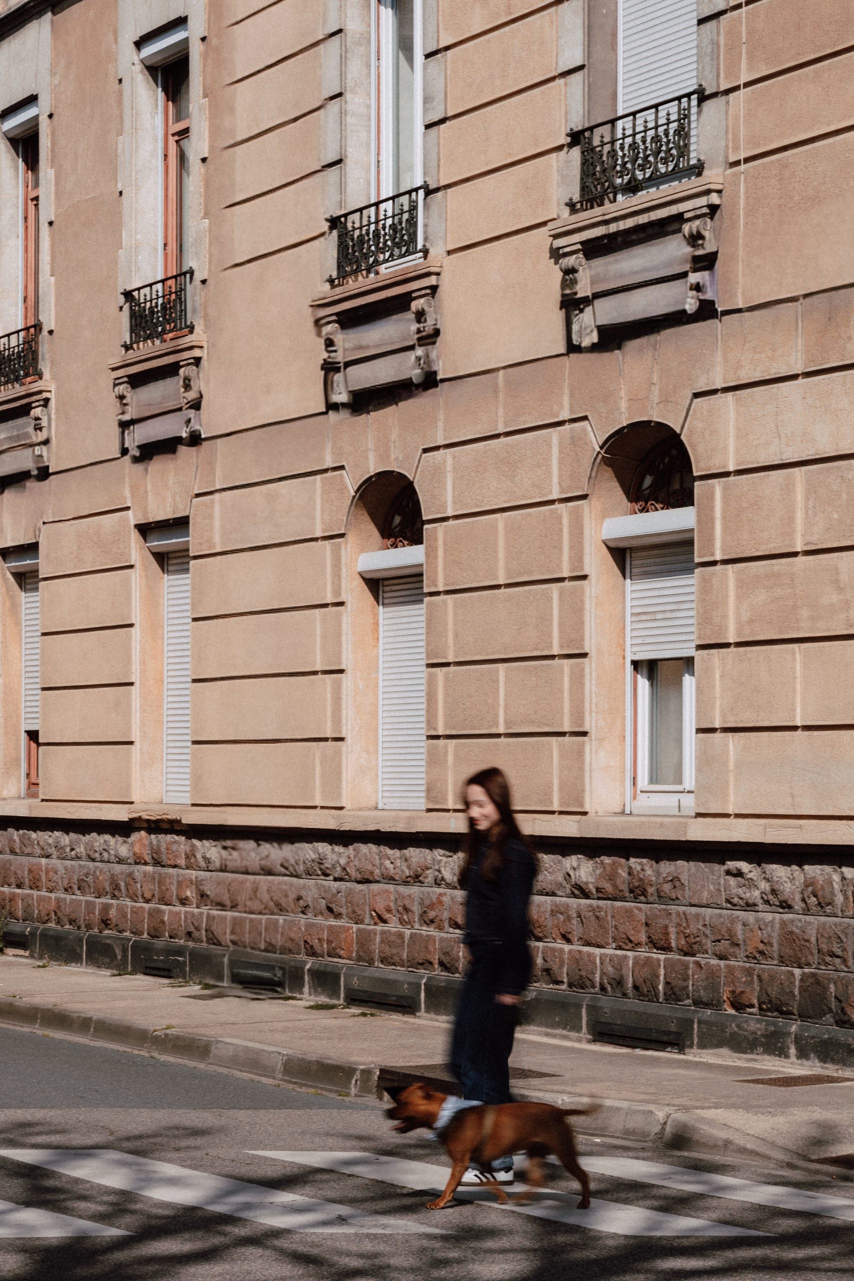 pet sitter roanne - garde animaux roanne - garde chien roanne - garde chat roanne - cat sitting roanne - cat sitter roanne - dog sitting roanne - dog sitter roanne - promenade chien roanne