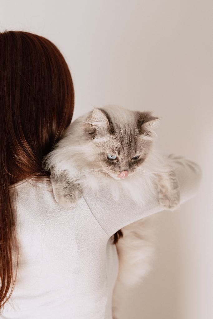 pet sitter roanne - garde animaux roanne - garde chien roanne - garde chat roanne - cat sitting roanne - cat sitter roanne - dog sitting roanne - dog sitter roanne