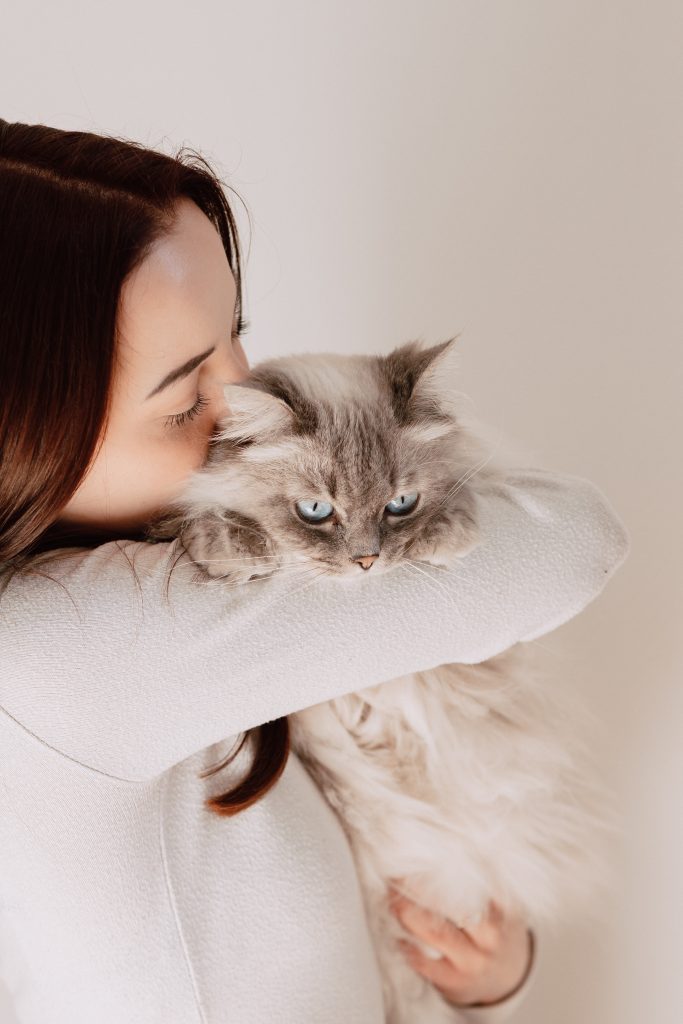 pet sitter roanne - garde animaux roanne - garde chien roanne - garde chat roanne - cat sitting roanne - cat sitter roanne - dog sitting roanne - dog sitter roanne